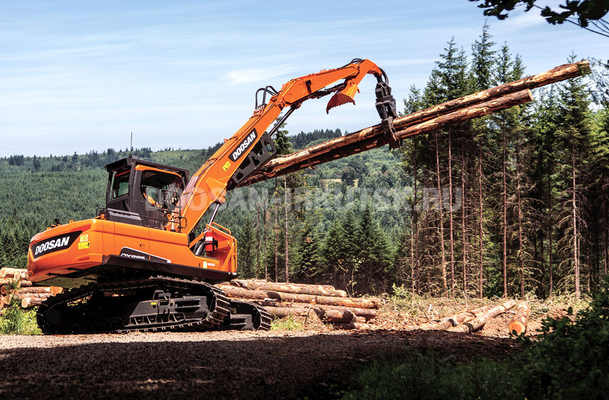 Бревноперегружатель гусеничный DOOSAN DX 225 LL